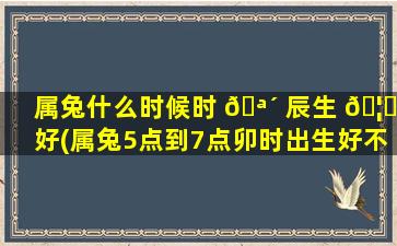 属兔什么时候时 🪴 辰生 🦆 好(属兔5点到7点卯时出生好不好)